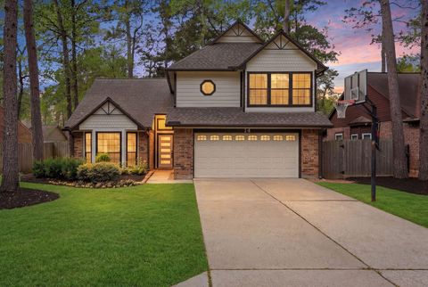 14 Dusky Meadow Place The Woodlands TX 77381
