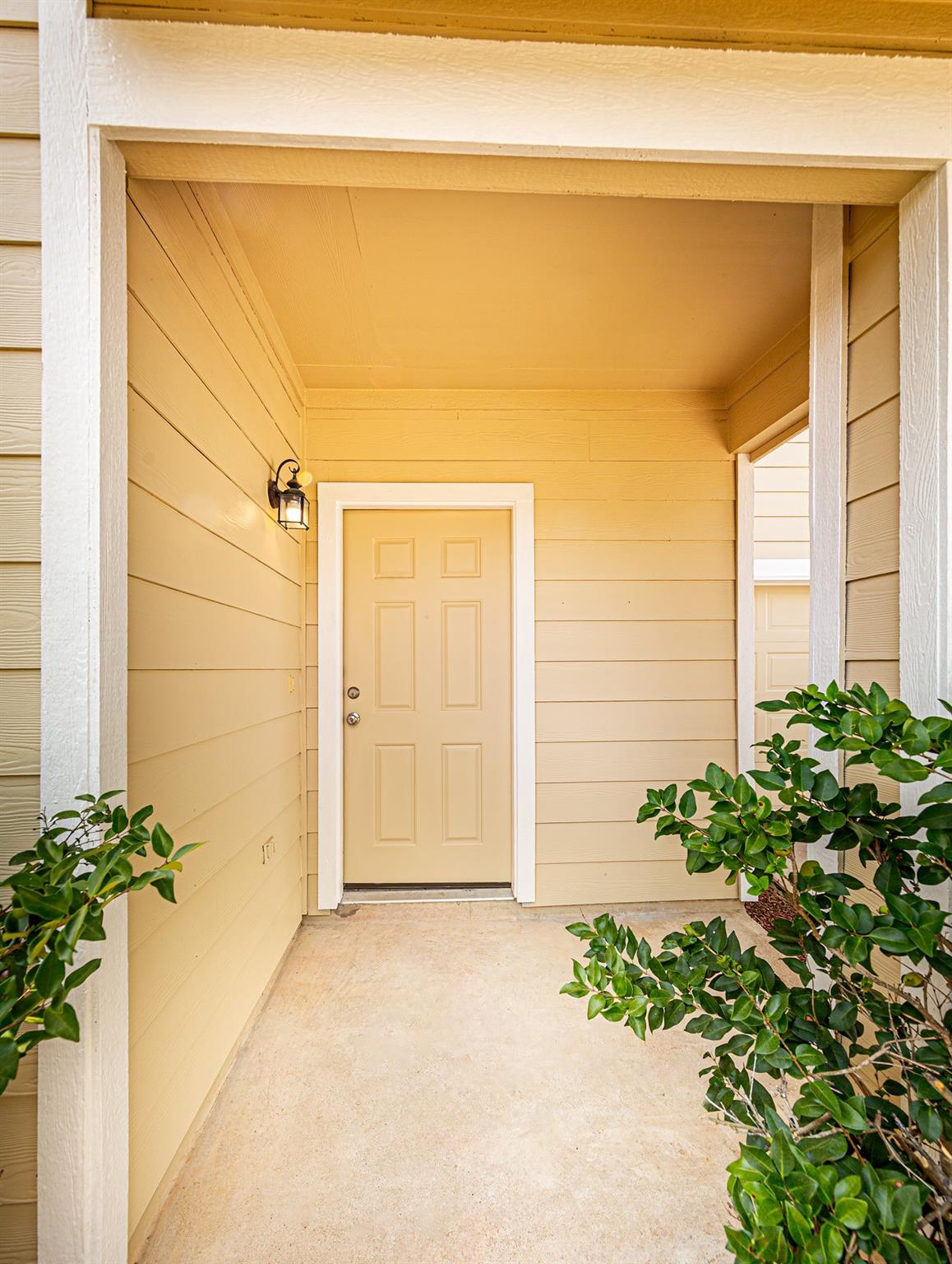 20831 Bonham Park Lane