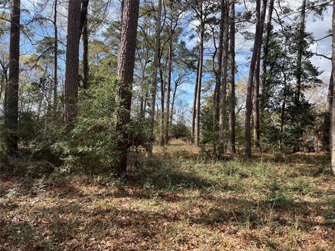 Vacant Land For Sale - TBD 350 North<br/> Livingston, TX 77351