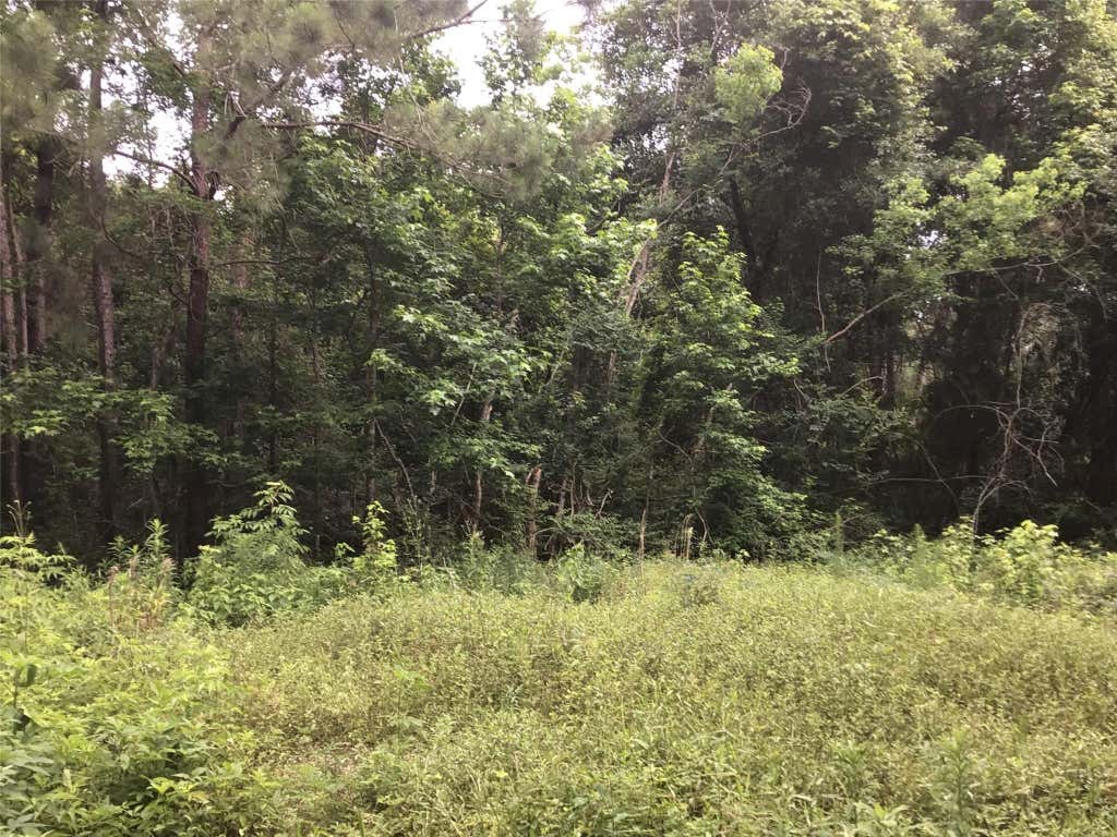 Photo of 304 N Hwy 321 Highway, Dayton, TX 77535 (MLS # 8347332)