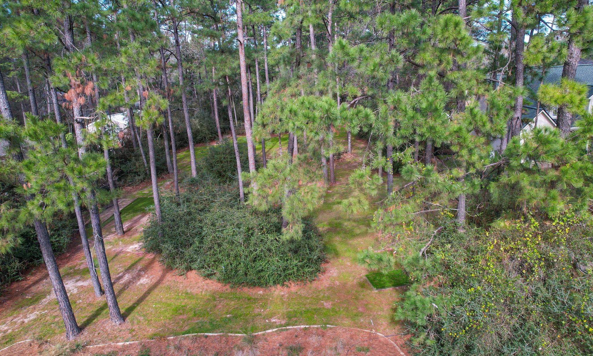 22314 Meadowsweet Drive