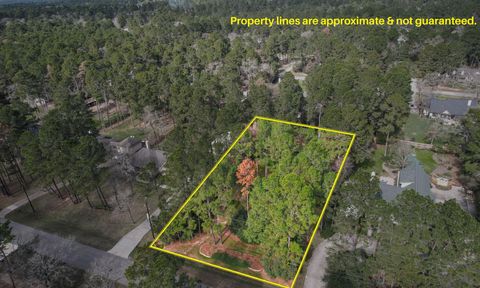 22314 Meadowsweet Drive Magnolia TX 77355