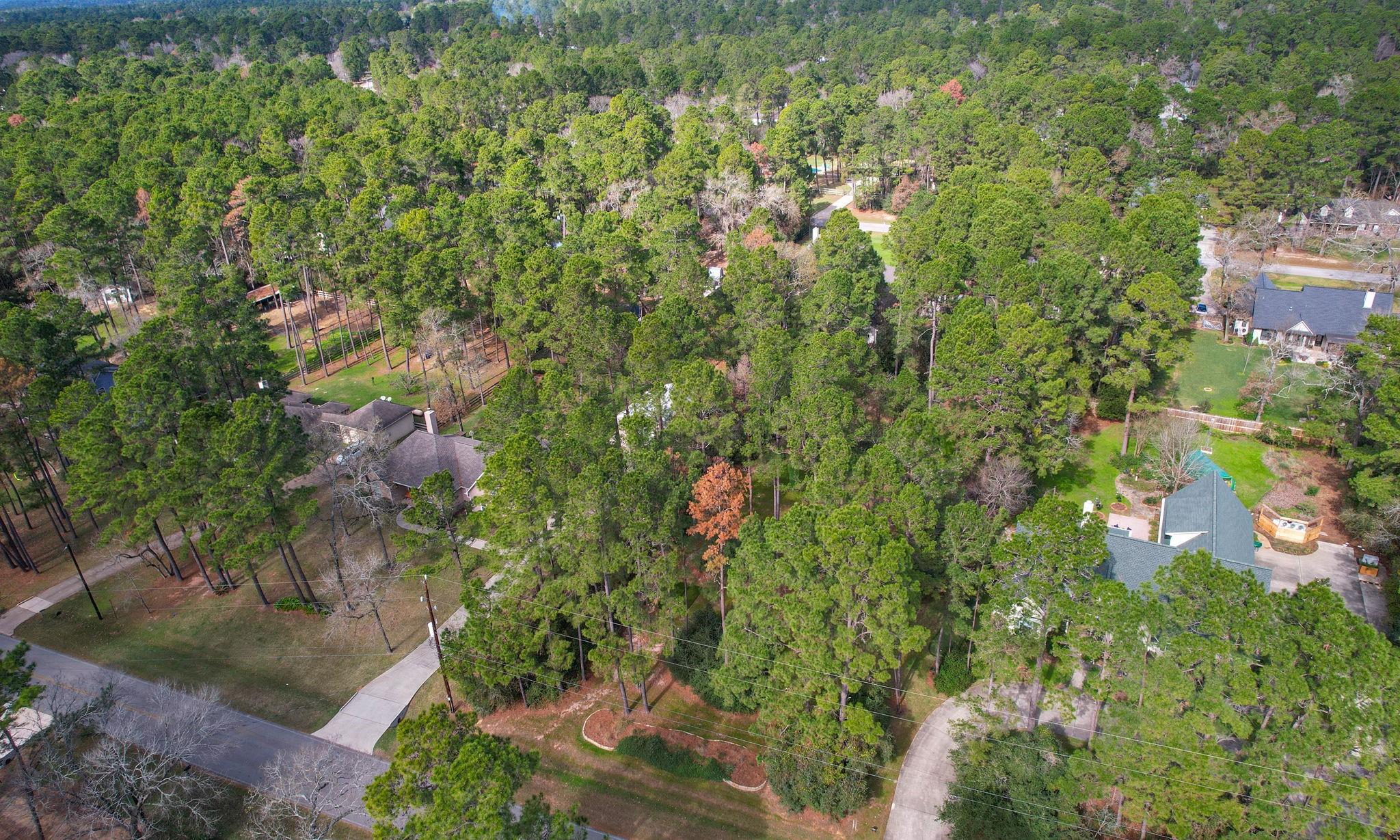 22314 Meadowsweet Drive