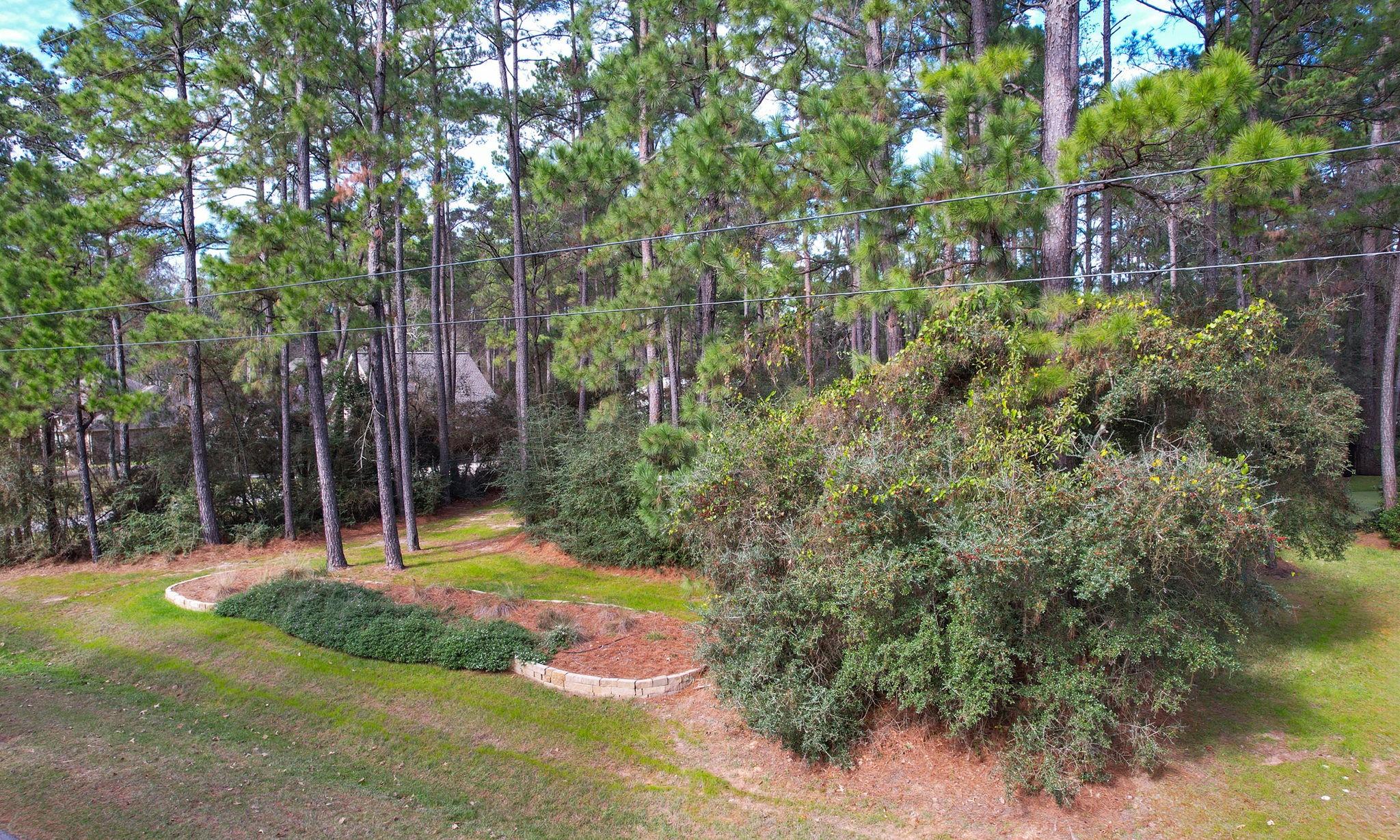 22314 Meadowsweet Drive