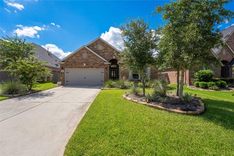 193 Climbing Oaks Place Montgomery TX 77316