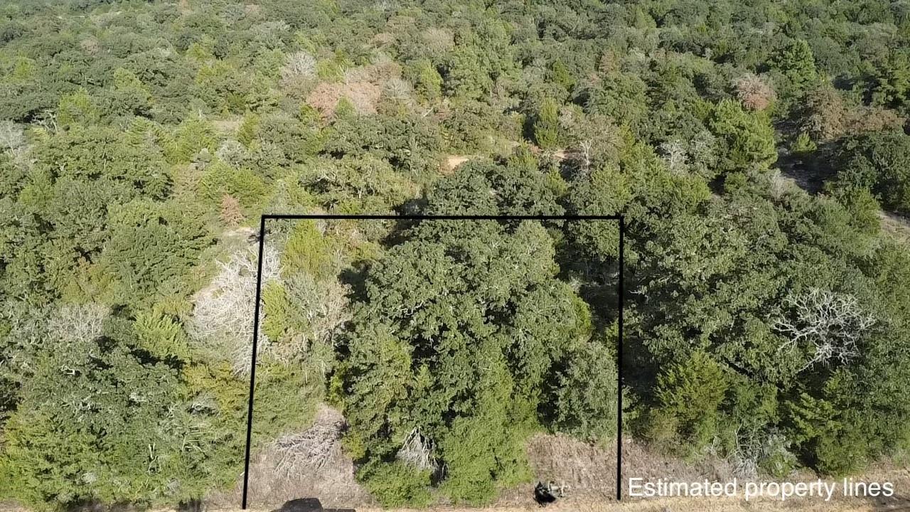TBD Pin Oak