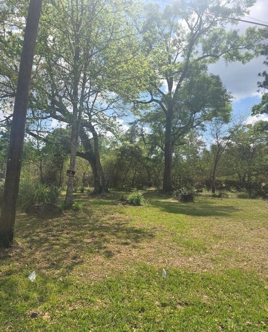 Photo of TBD Peach Creek, New Caney, TX 77357 (MLS # 8852913)