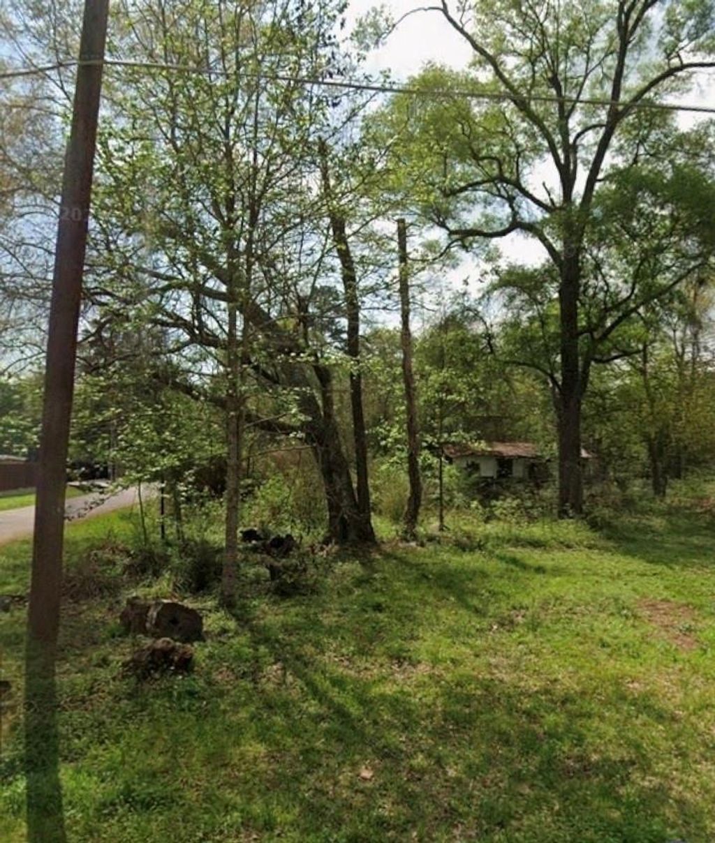 Photo of TBD Peach Creek, New Caney, TX 77357 (MLS # 8852913)