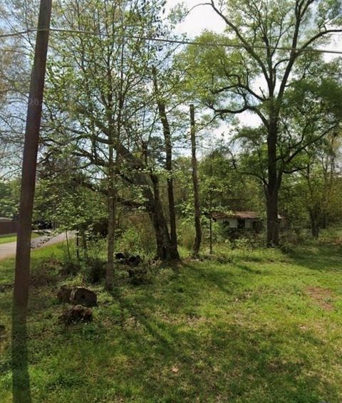 Photo of TBD Peach Creek, New Caney, TX 77357 (MLS # 8852913)