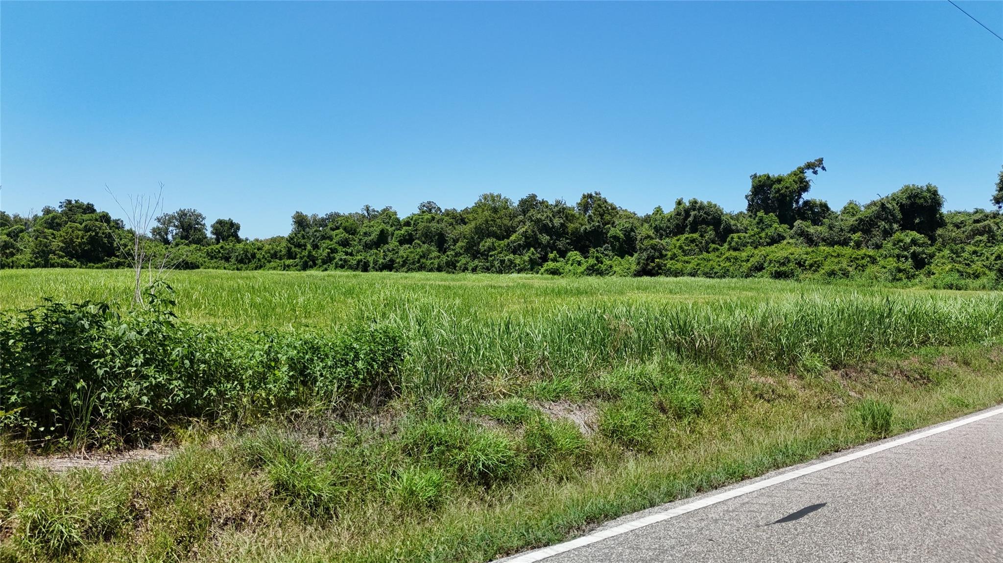 TBD County Road 42