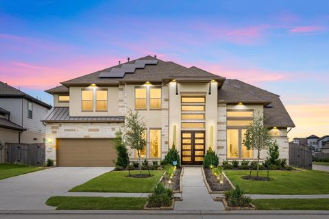 9911 Crescent Wood Drive Missouri City TX 77459
