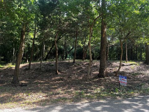 Vacant Land For Sale - 00 Chadwick Hogan Road<br/> Chappell Hill, TX 77426