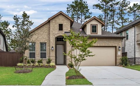 Photo of 211 Congo Bay Circle, Willis, TX 77318 (MLS # 76308718)