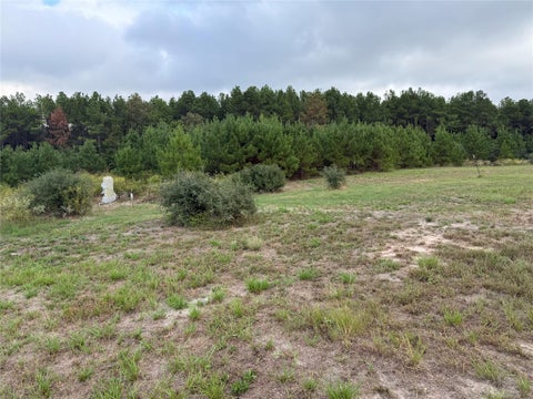 Photo of 9420 Fm 355, Trinity, TX 75862 (MLS # 22881345)