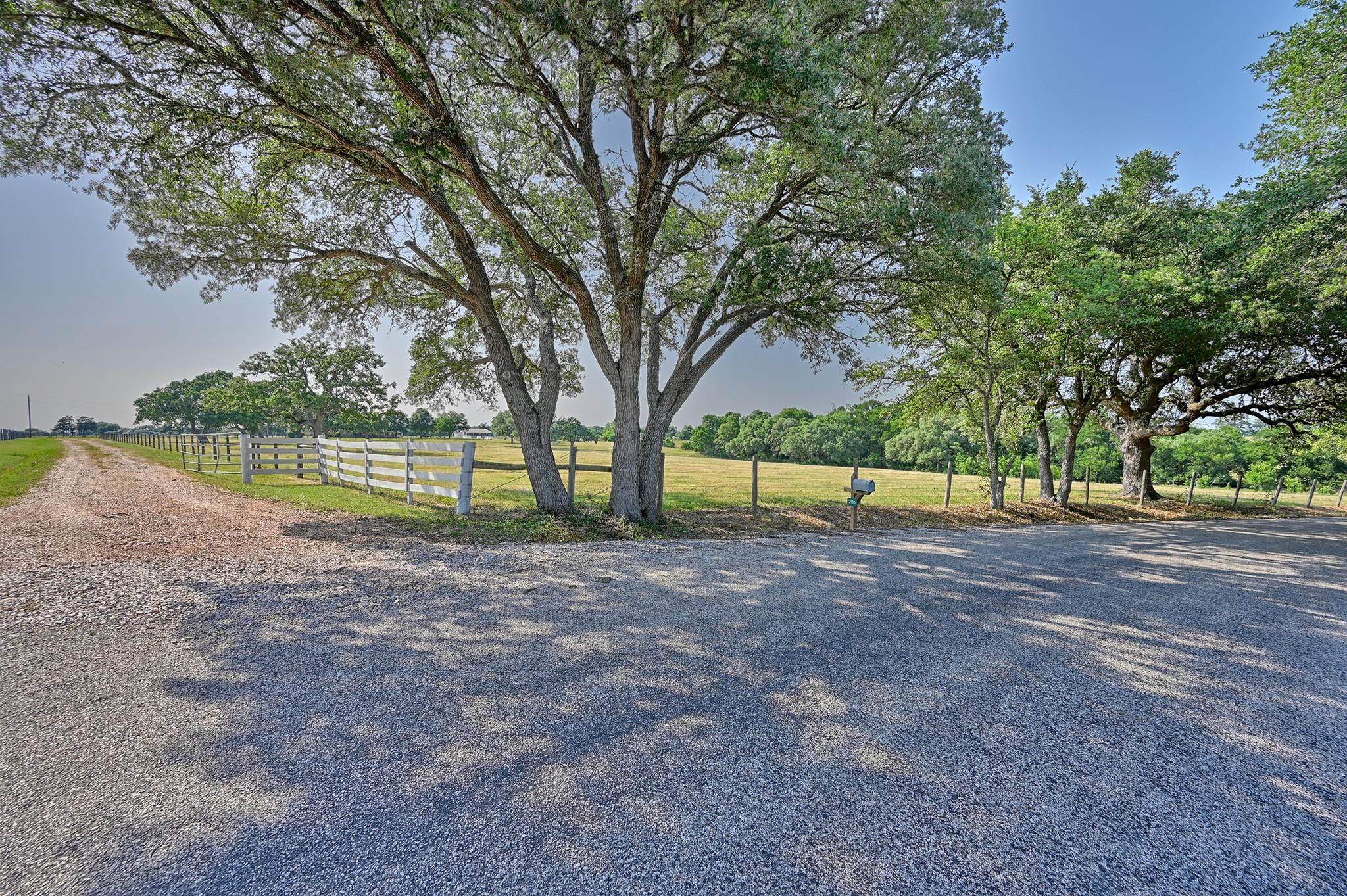 2120 Hohenwalde School Road