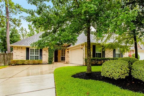 Photo of 11 Fair Light CT, The Woodlands, TX 77382 (MLS # 33569065)