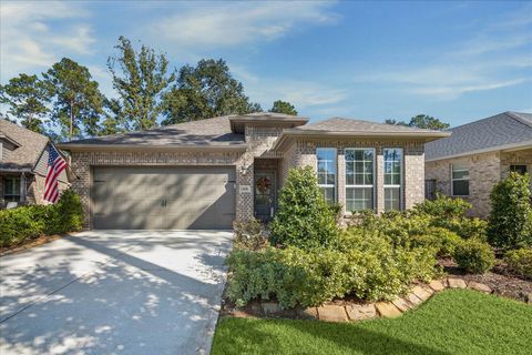 Photo of 406 Wild Petunia Court, Montgomery, TX 77316 (MLS # 79607247)