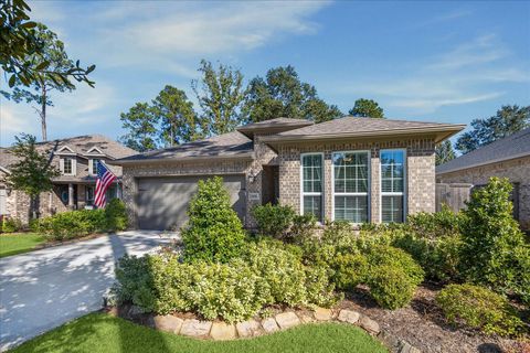 406 Wild Petunia Court Montgomery TX 77316