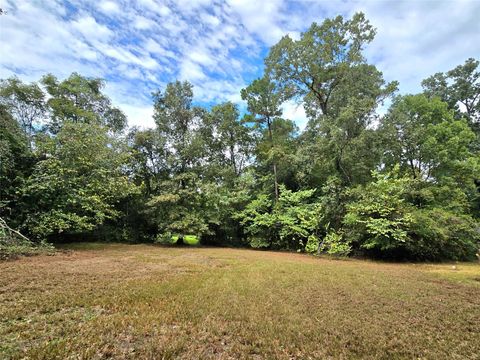 Photo of 81 E Bishop Road, Point Blank, TX 77364 (MLS # 48260407)