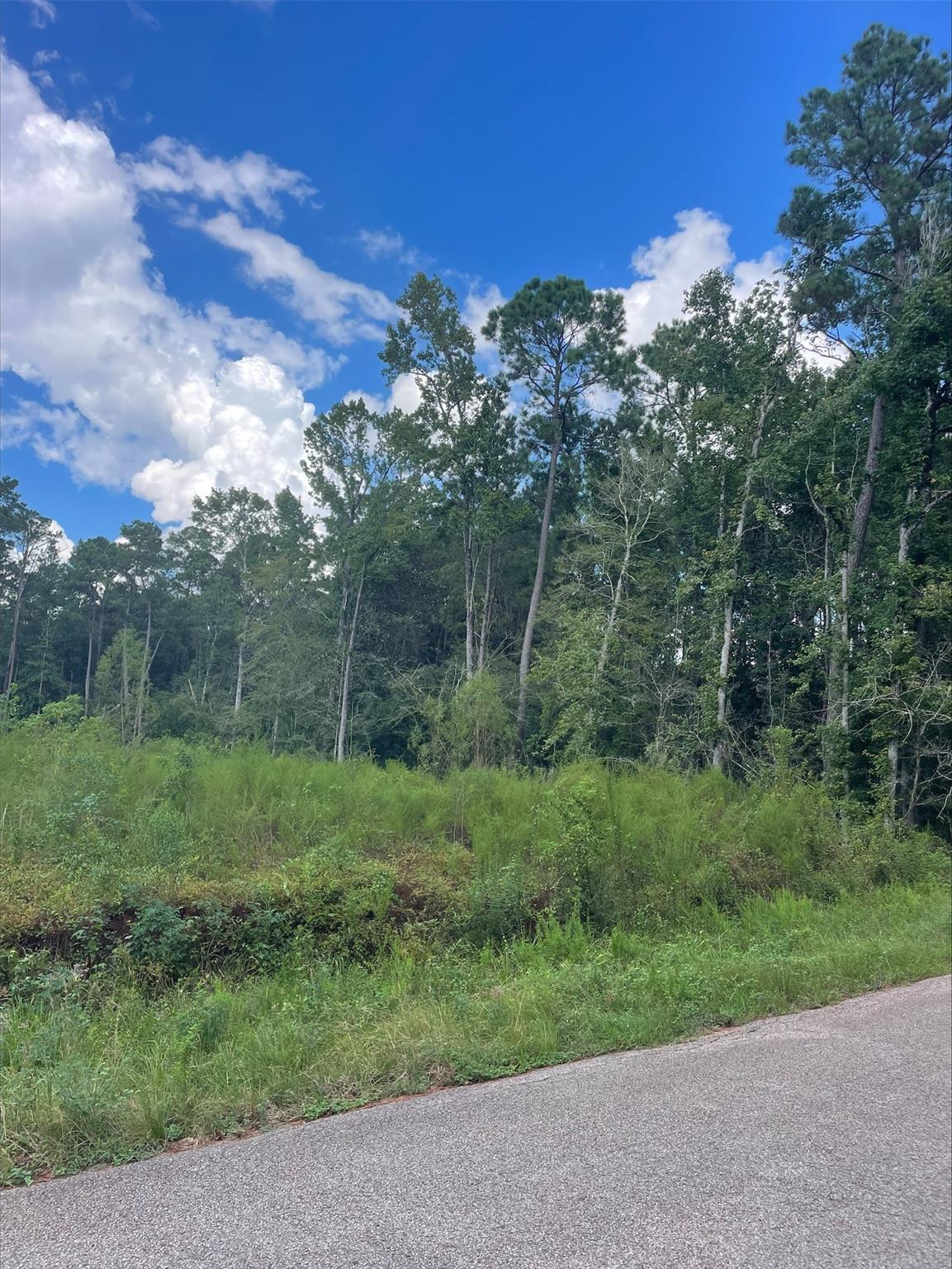 TBD0.57AC Magnolia Bend Dr