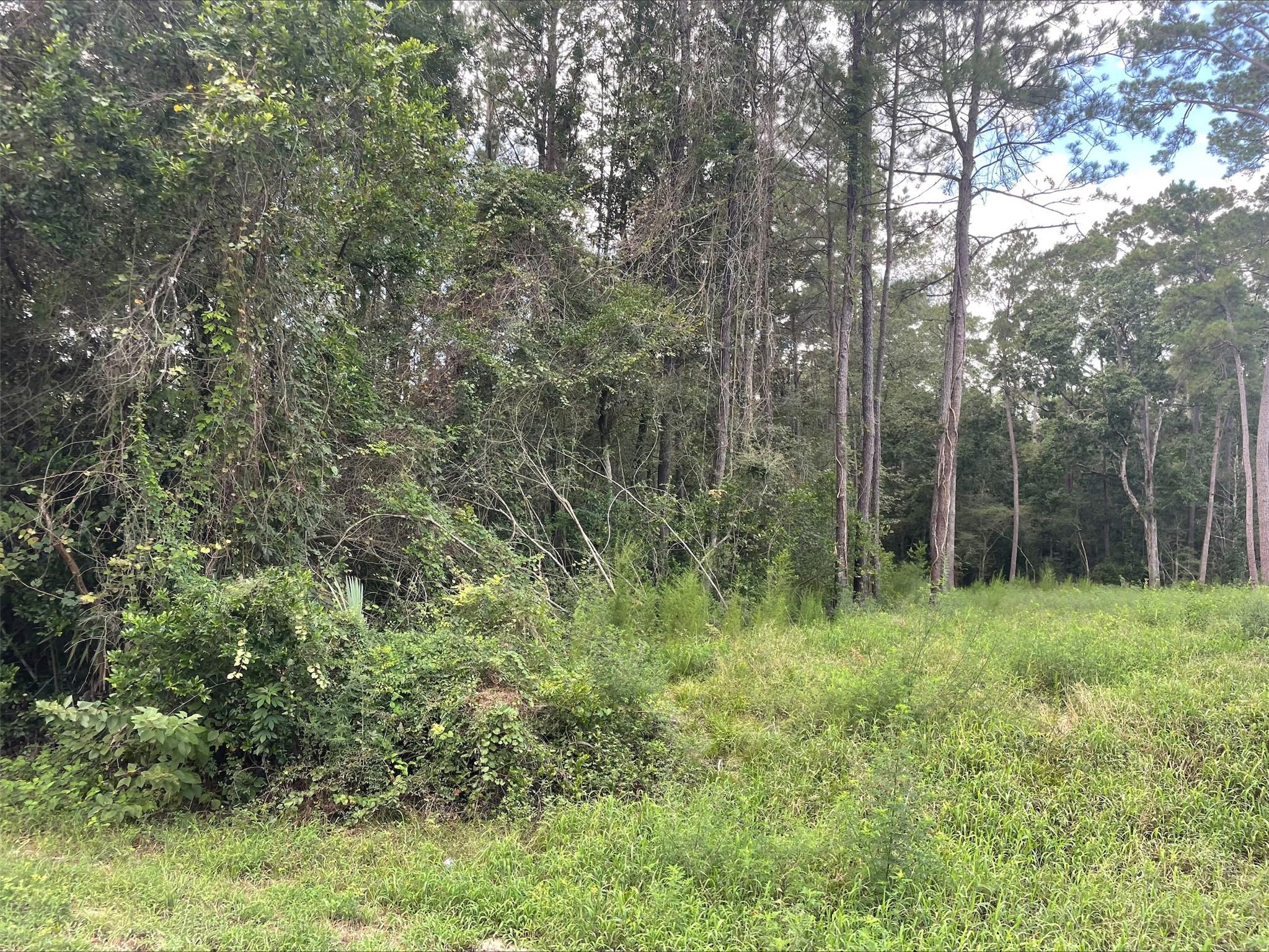 TBD0.57AC Magnolia Bend Dr