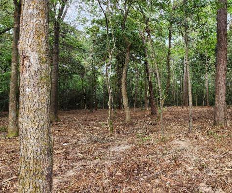 Photo of 7595 Broussard Road, Beaumont, TX 77713 (MLS # 87214575)
