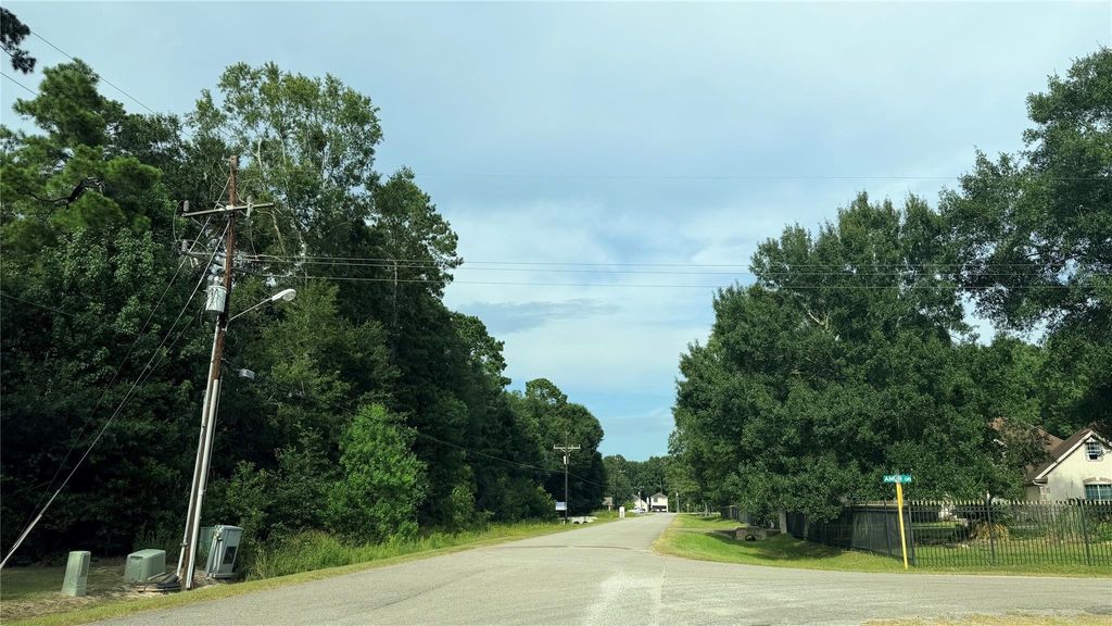 Photo of 19349 Elbe Drive, Porter, TX 77365 (MLS # 14703090)