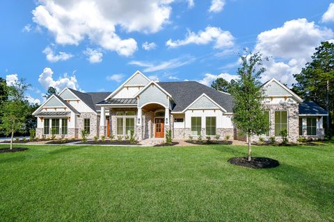 8603 Trinity Pines Court Montgomery TX 77316