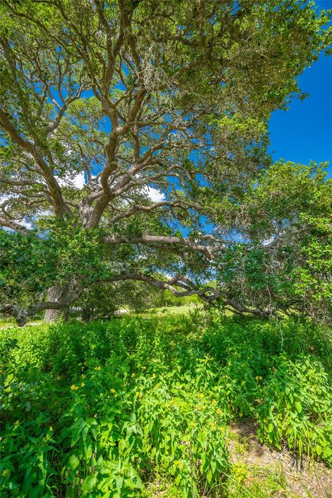 Photo of 0 County Road 146, Hallettsville, TX 77964 (MLS # 54538304)