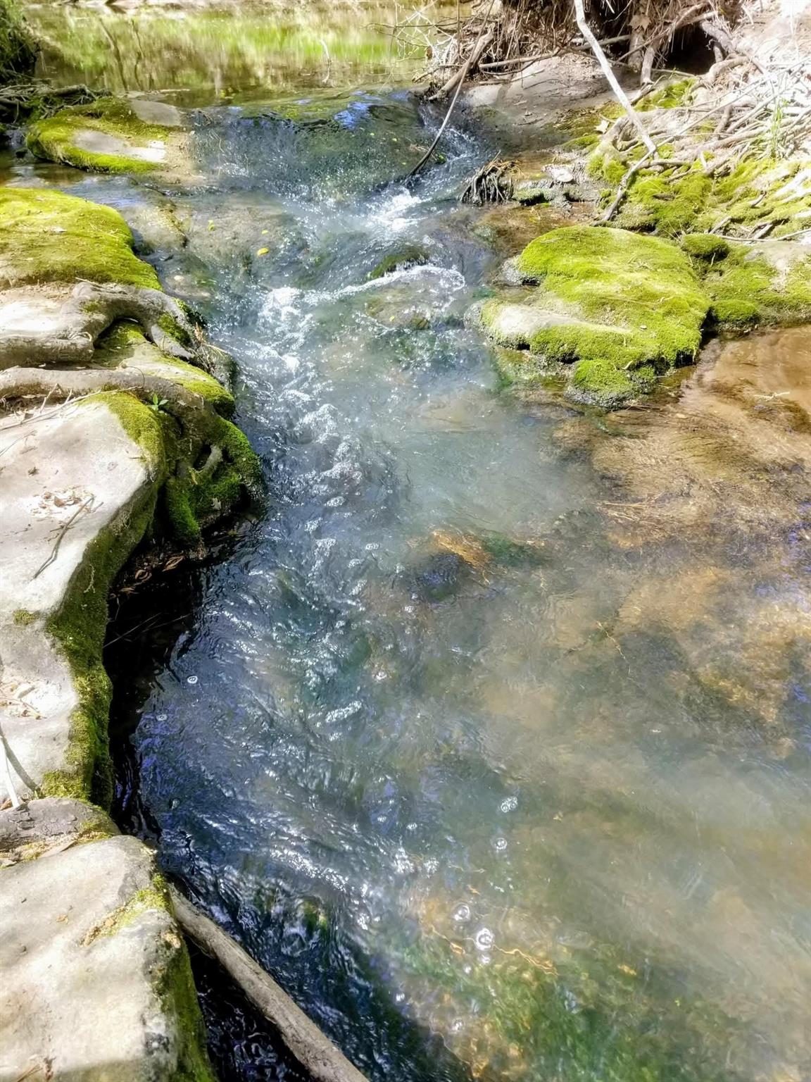 12895 County Road 201