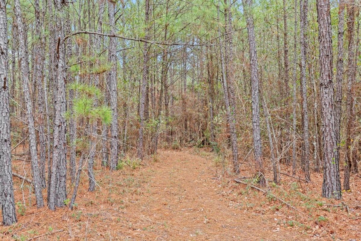 12895 County Road 201