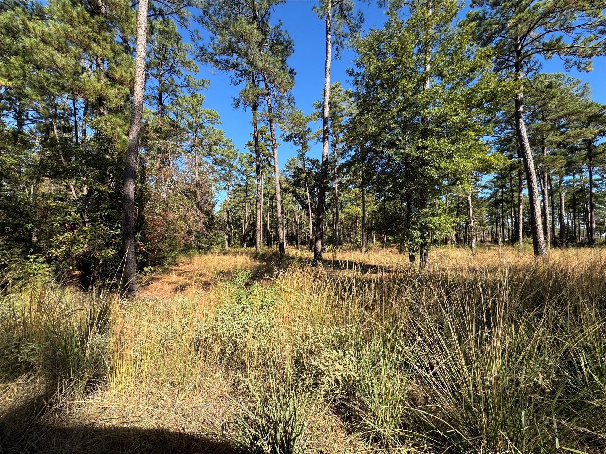 030 Private Road 6026