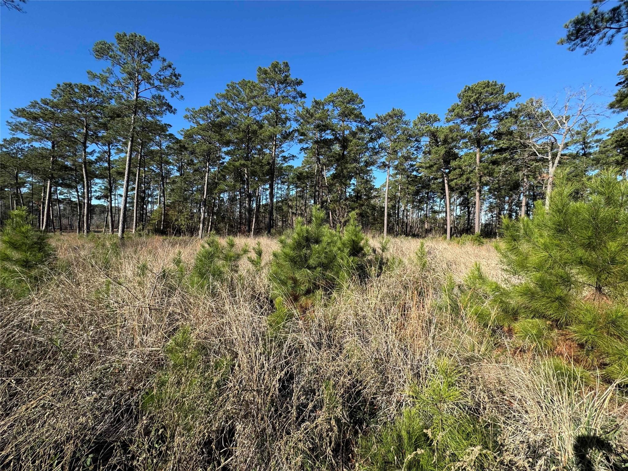 030 Private Road 6026