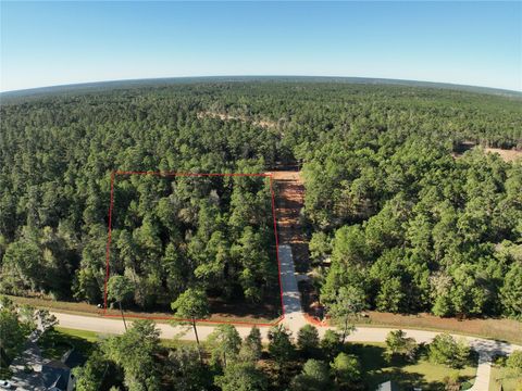 Photo of 3 Augusta Drive, Montgomery, TX 77316 (MLS # 48617991)