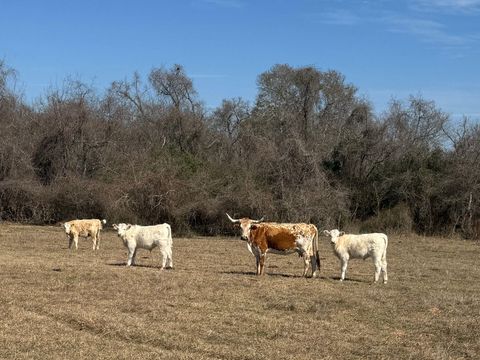 Photo of 0 West, Navasota, TX 77868 (MLS # 98384791)