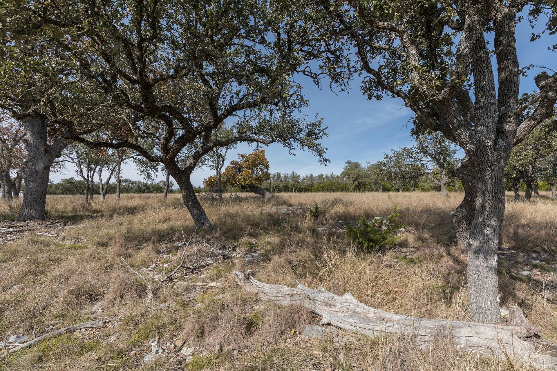 857 Brooklyn Drive NW