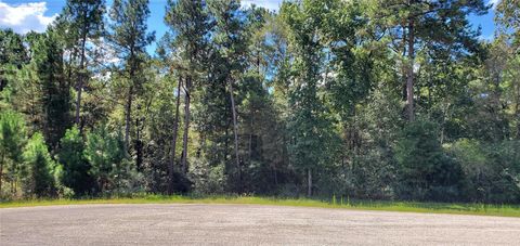 Photo of N/A Cougar Court, Huntsville, TX 77340 (MLS # 62873312)
