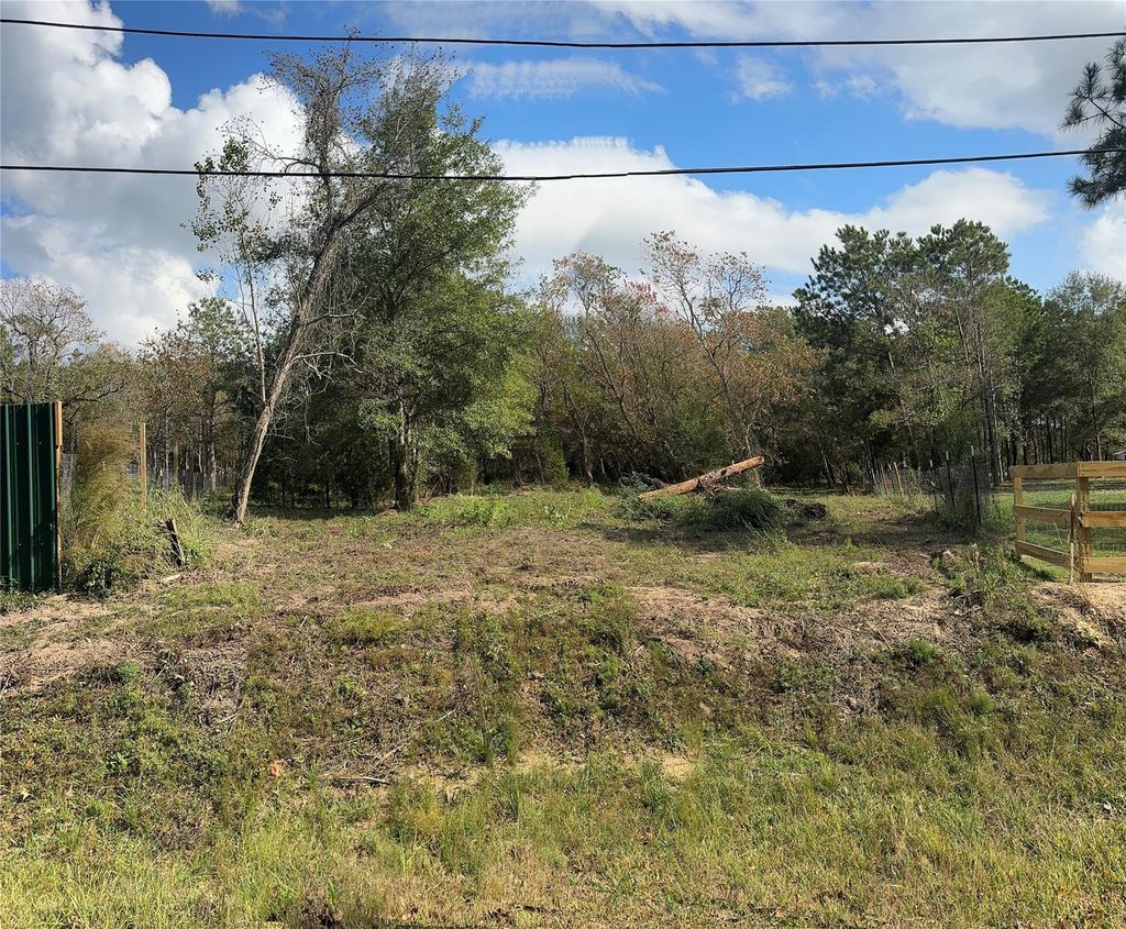 Photo of 15577 E Relza Drive, Splendora, TX 77372 (MLS # 71036210)