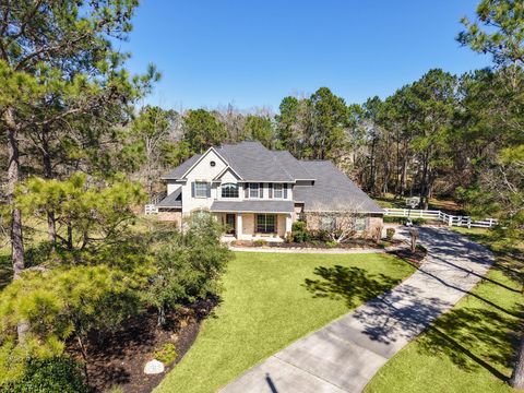 12210 Hallowed Oaks Magnolia TX 77354