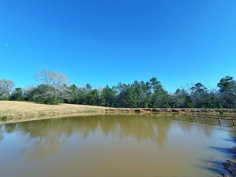 87 ac Cr 2471 Oakwood TX 75855