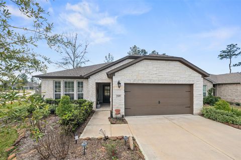 305 Royal Lily Trail Montgomery TX 77316