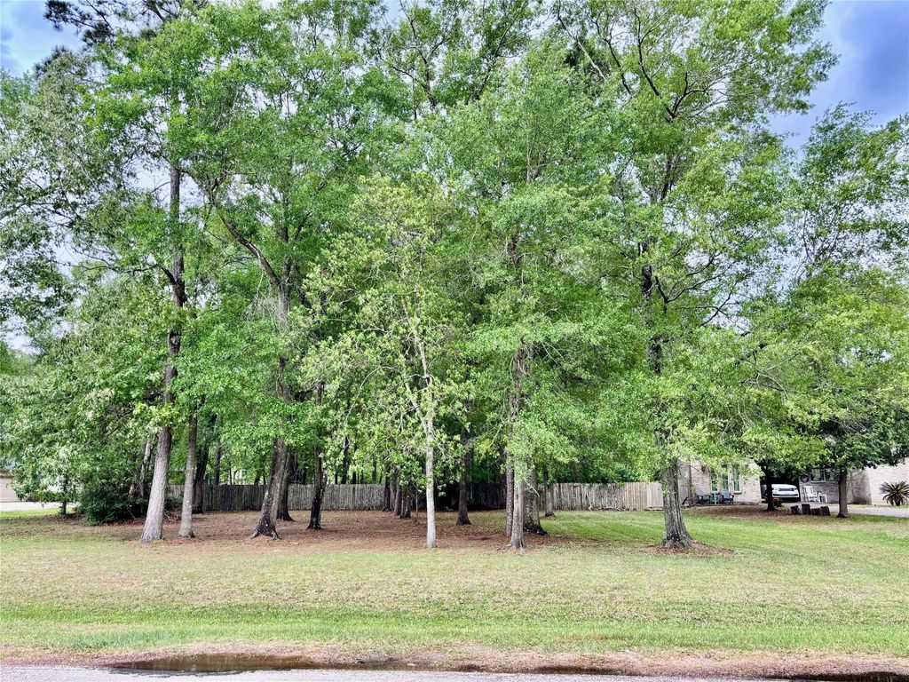 Photo of 22920 Colorado Drive, Porter, TX 77365 (MLS # 38370318)