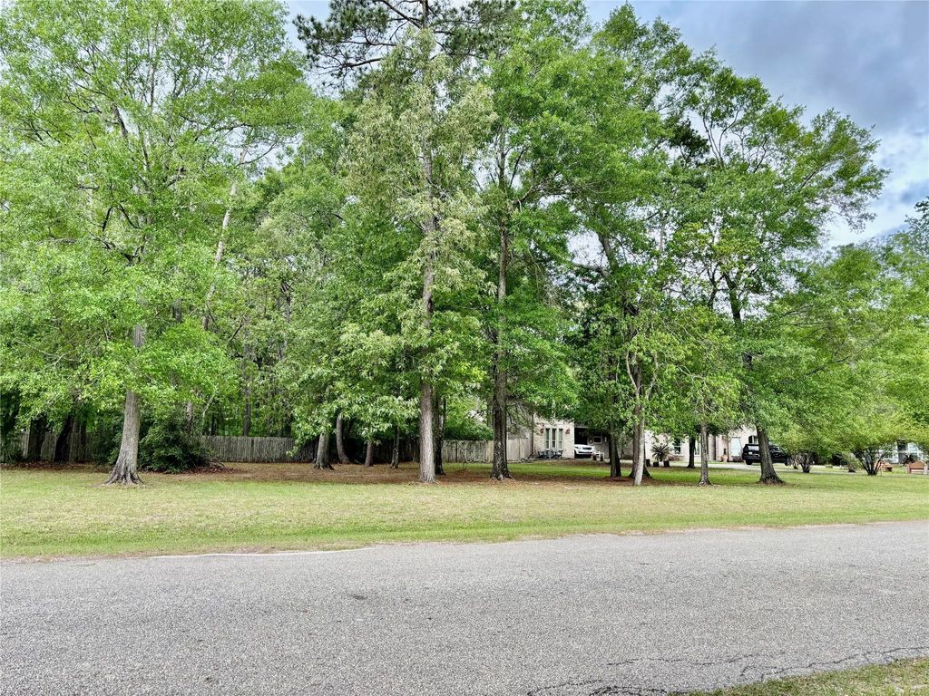 Photo of 22920 Colorado Drive, Porter, TX 77365 (MLS # 38370318)