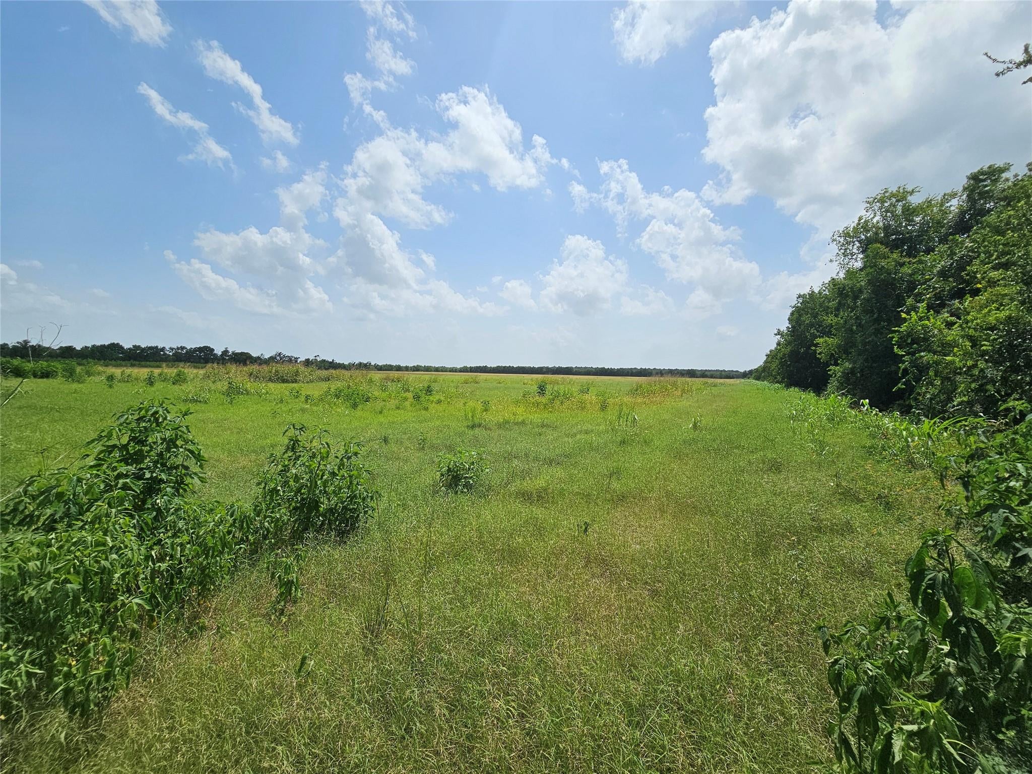North Parcel Peters Road
