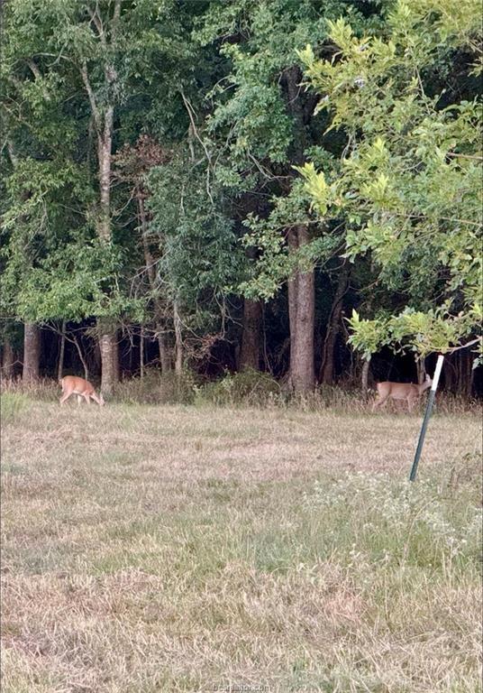 80 Acres TBD Lcr 648