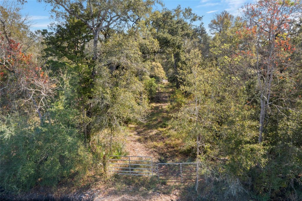 Photo of 6303 County Road 289, Sweeny, TX 77480 (MLS # 17026690)
