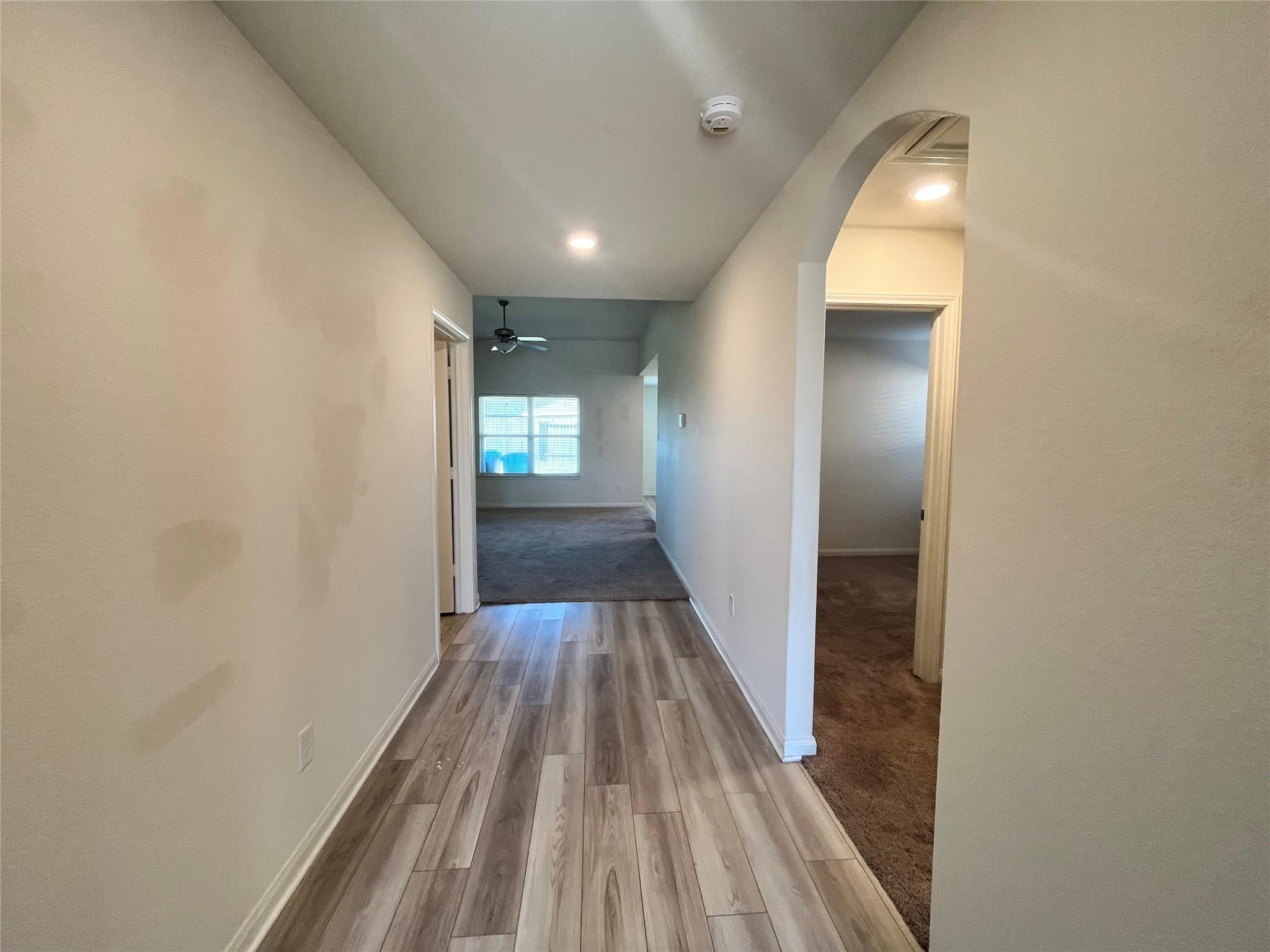 10810 Anthonomus Way