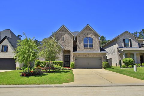 Photo of 282 Sky Top Drive, Montgomery, TX 77316 (MLS # 78038938)