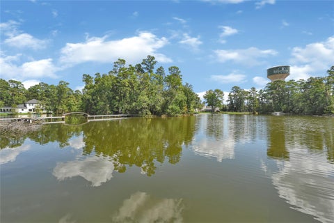 Photo of 18121 Atkinson Lane, Conroe, TX 77384 (MLS # 48150031)