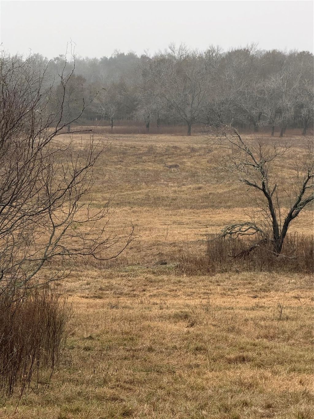 Photo of NA County Road 386, Marquez, TX 77865 (MLS # 67141003)